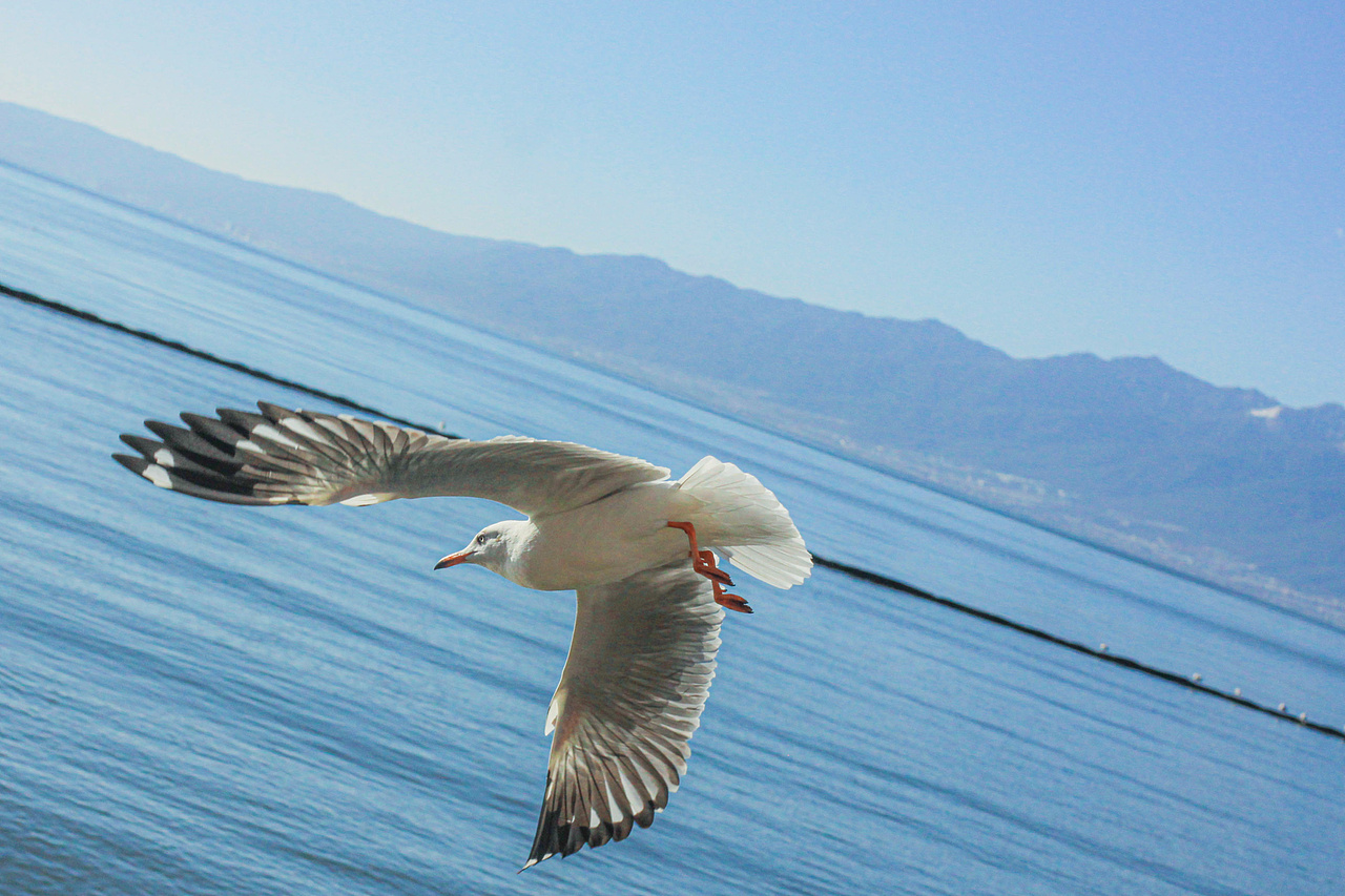 云南-大理旅游随记