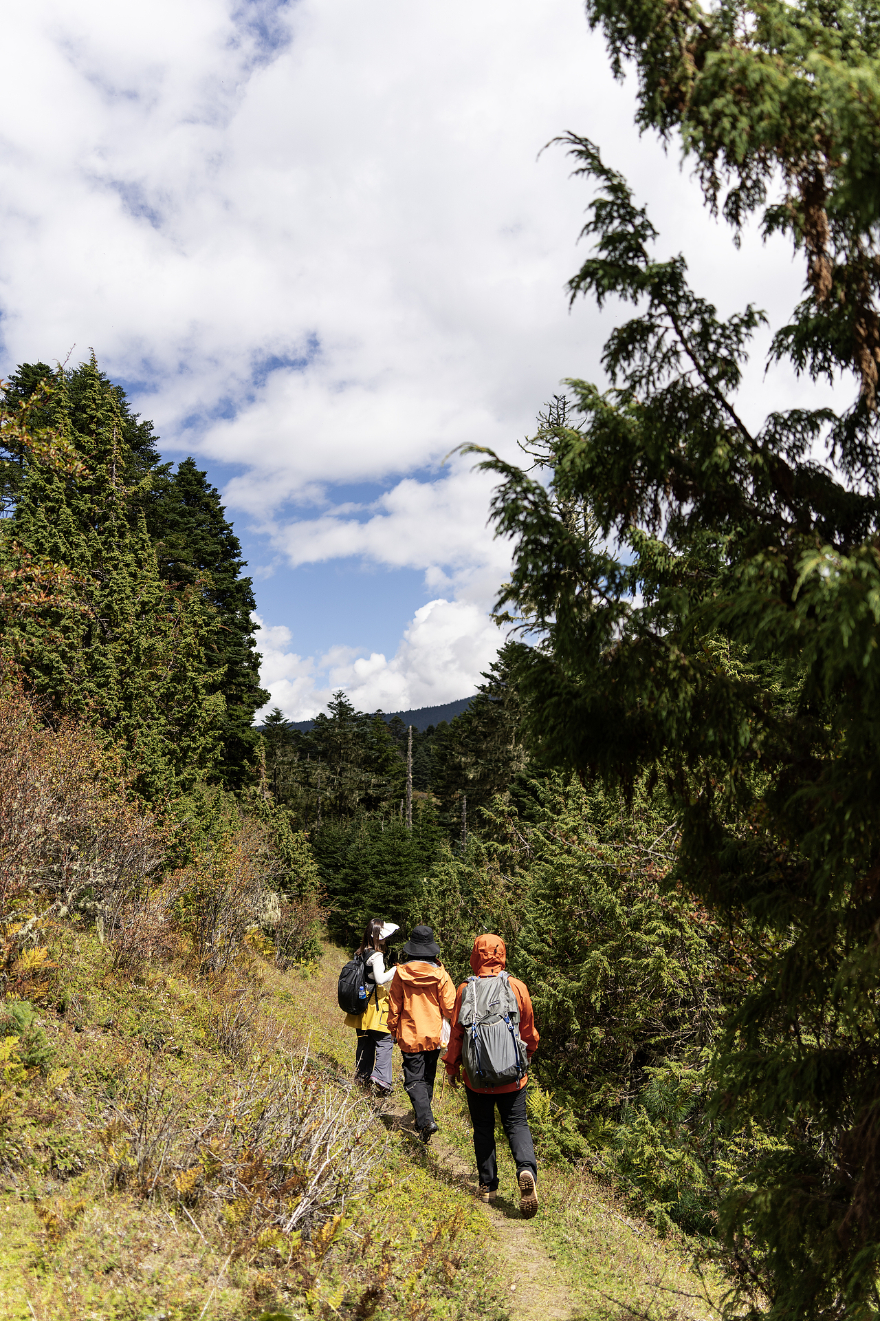 重返香格里拉2022