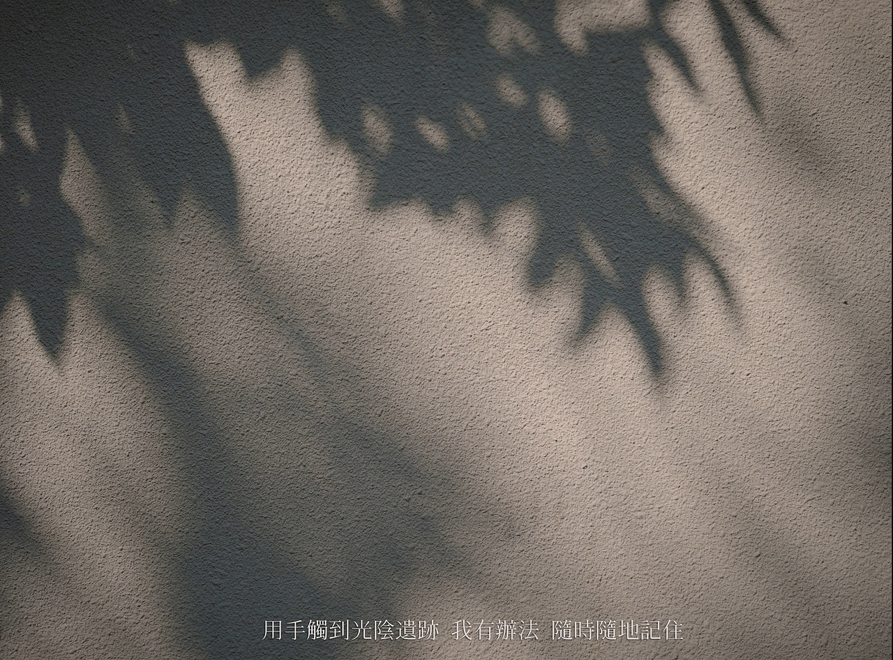 游曳色彩 · 倾仰微光