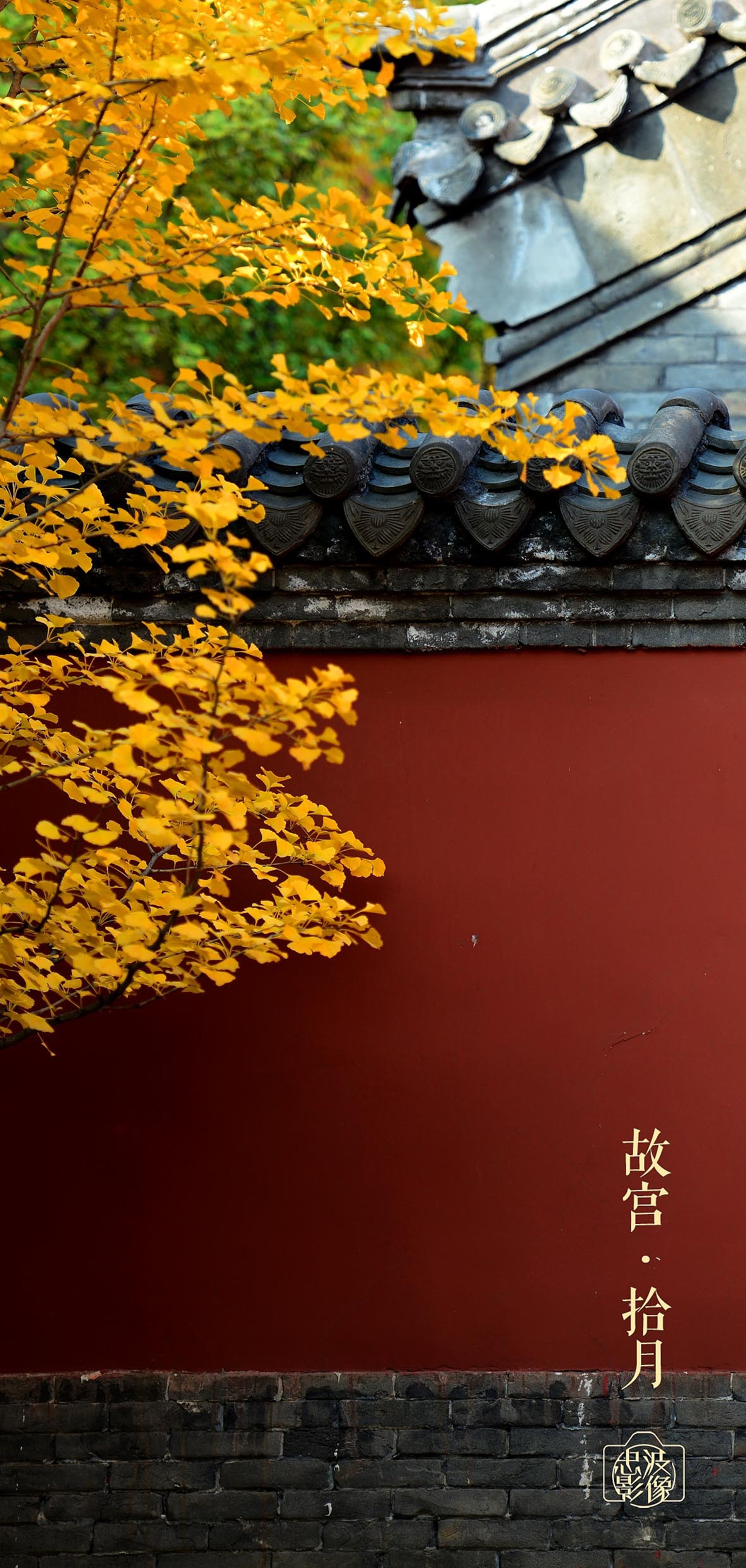 沈阳故宫-金秋（图ZMzI1MzA3Nzc2） - 环境/建筑摄影 - 站酷设计师盛京文化原创素材 - 站酷ZCOOL