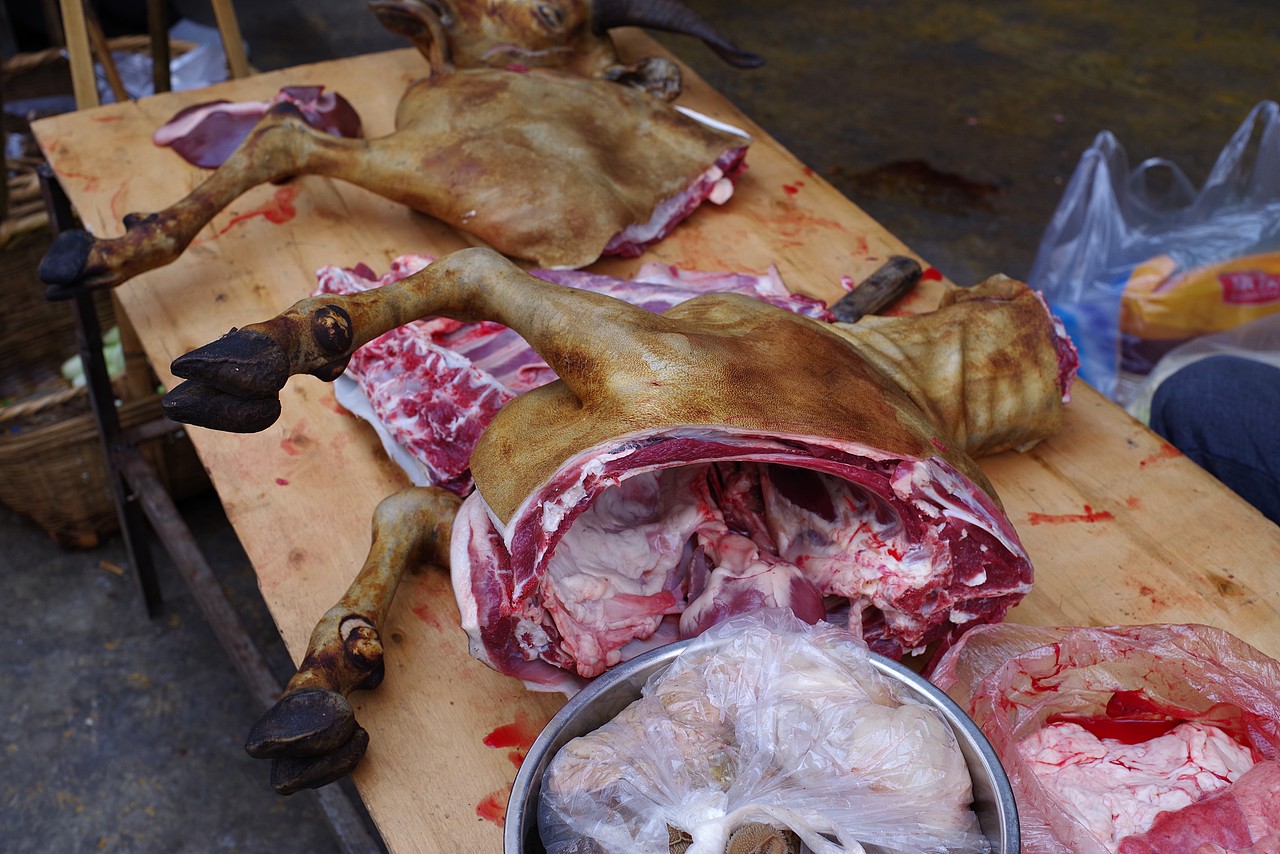 赶云南大集,看稀奇,食爆浆肥肠