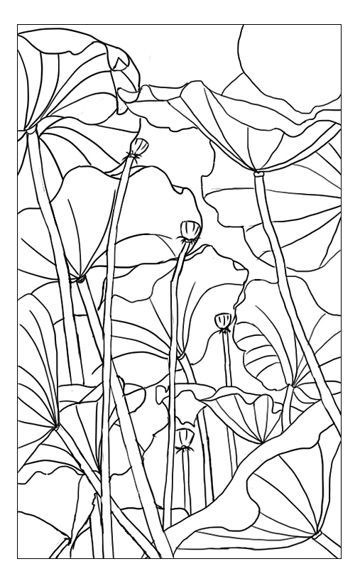 練習(xí)作品（圖ZMzQ4NDM3MDI4） - 藝術(shù)插畫 - 站酷設(shè)計師陳掌門原創(chuàng)素材 - 站酷ZCOOL