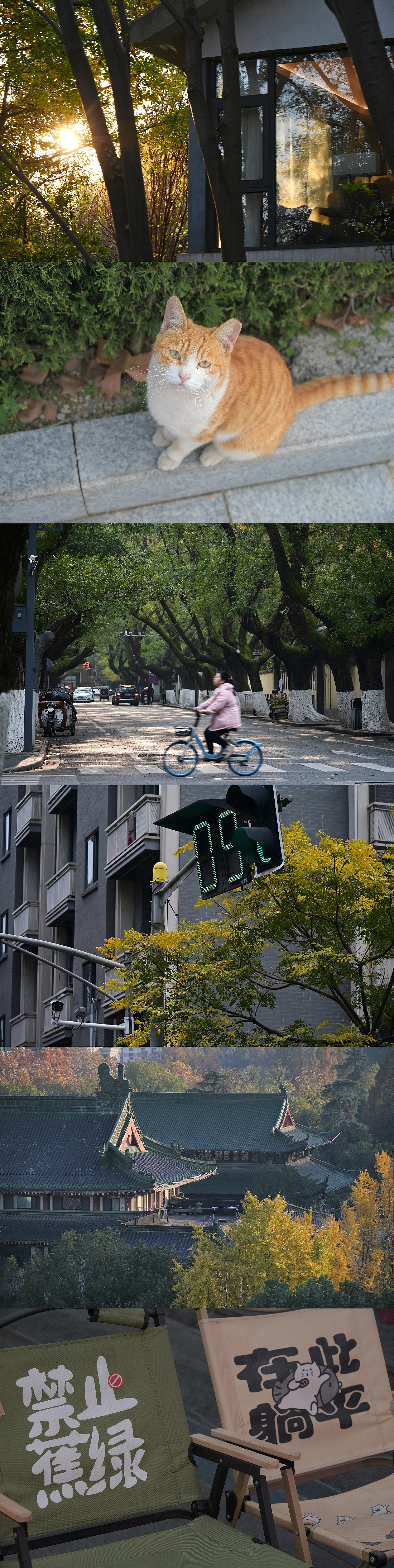 有两张原图删掉了 就先发拼了的