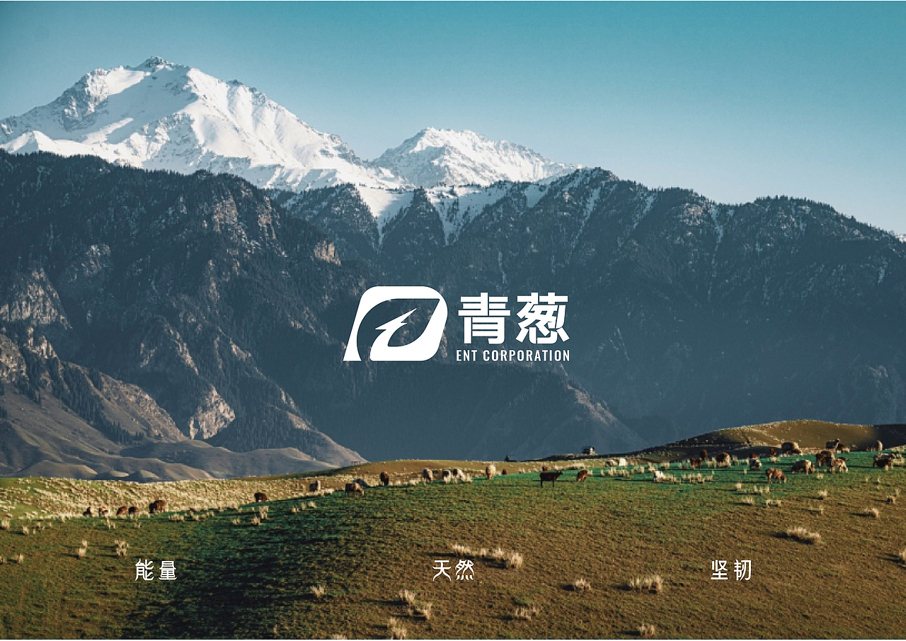 青葱-品牌VIS手册（图ZMzE4Nzc4ODIw） - 品牌 - 站酷设计师尘世间一小书童原创素材 - 站酷ZCOOL