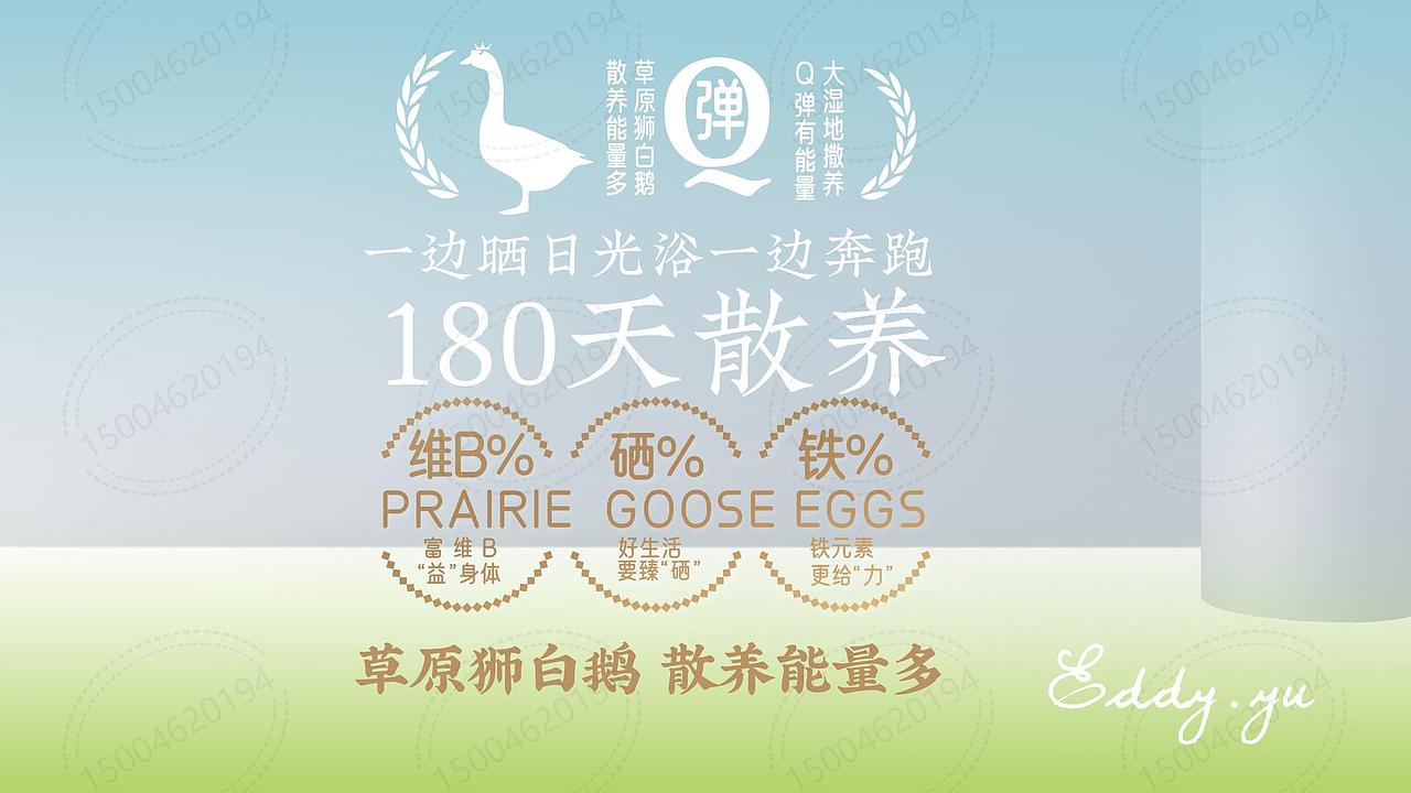 鵝蛋包裝設(shè)計(jì)（圖ZMzU2NjQwMDIw） - 包裝 - 站酷設(shè)計(jì)師自由設(shè)計(jì)師于婷婷原創(chuàng)素材 - 站酷ZCOOL