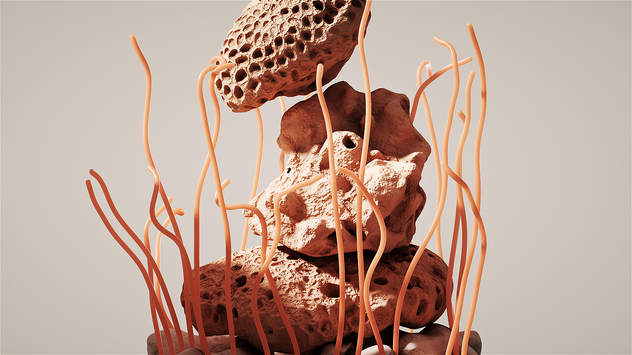 用“百变小音”给2022年画上完美句号吧~