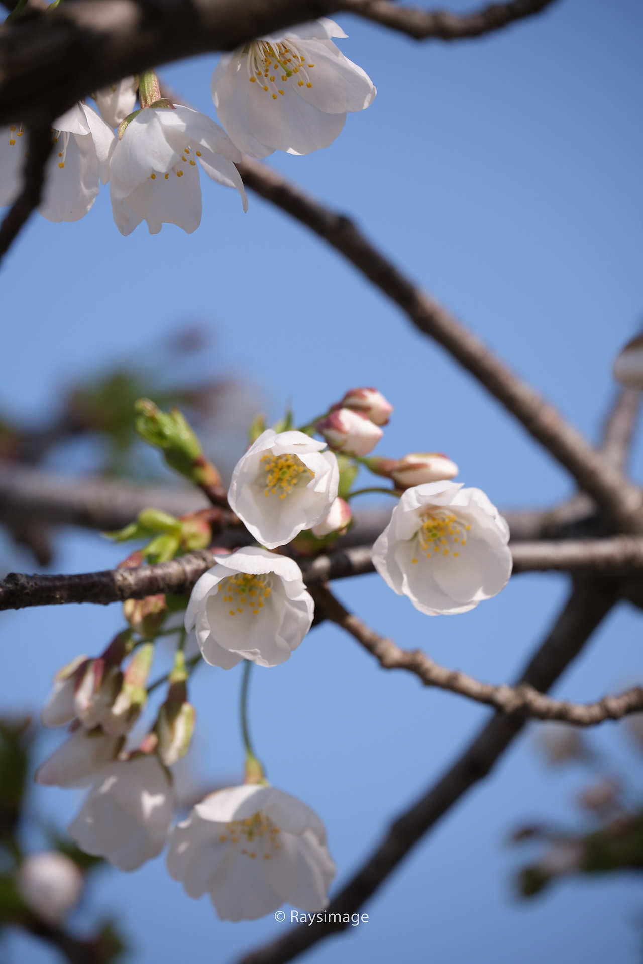 【上海建筑见闻】龙美术馆西岸馆 I Raysimage（图ZMzQwNTg1OTk2） - 环境/建筑摄影 - 站酷设计师Raysimage原创素材 - 站酷ZCOOL