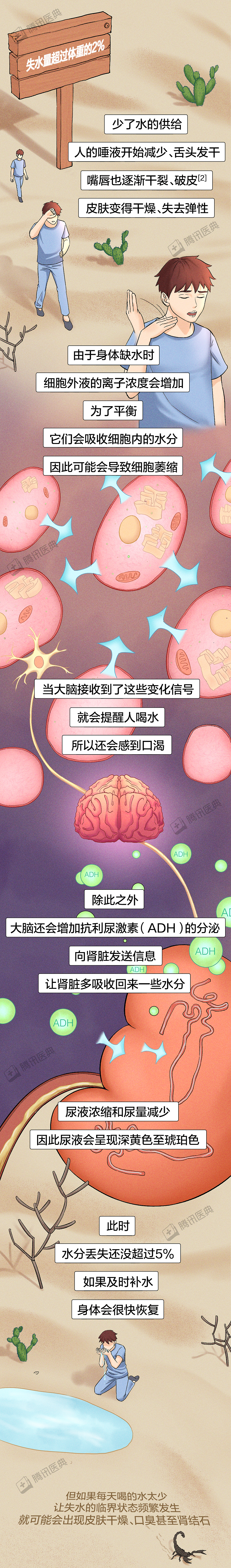 腾讯医典科普条漫《人如果一直不喝水，多久会死？》（图ZMzA3MzczNDI0） - 中/长篇漫画 - 站酷设计师乌木的漫画日记原创素材 - 站酷ZCOOL