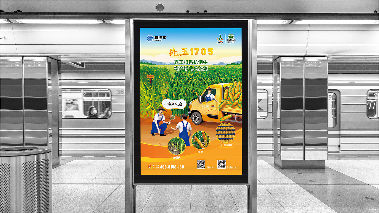 农业\玉米种业\先锋品牌\产品海报设计项目（图ZMzE3MTI2NTA4） - 海报 - 站酷设计师红微原创素材 - 站酷ZCOOL