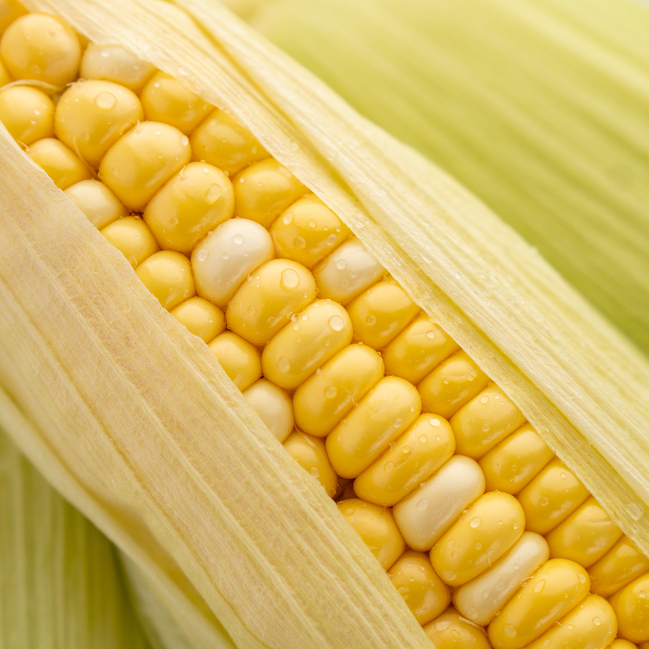 一些治愈系瞬間（圖ZMzMyMjM3NTYw） - 其他攝影 - 站酷設(shè)計師絳的攝影日記原創(chuàng)素材 - 站酷ZCOOL