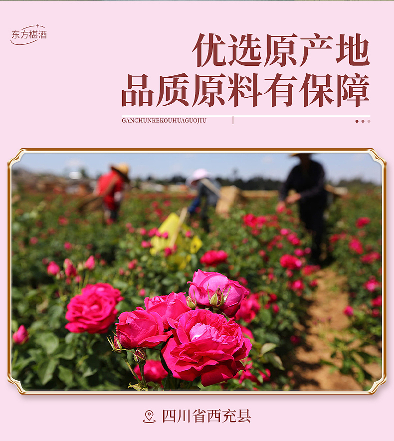 桑葚玫瑰花果酒详情页