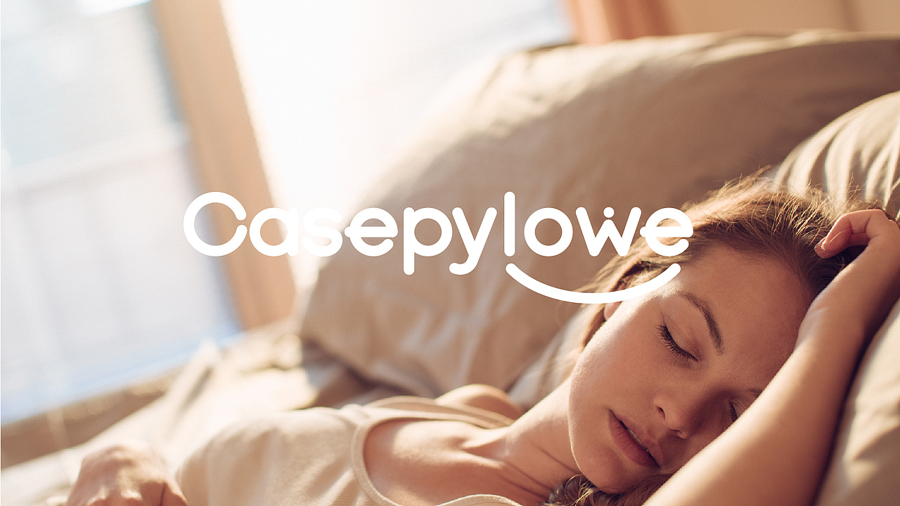 casepylowe logo设计