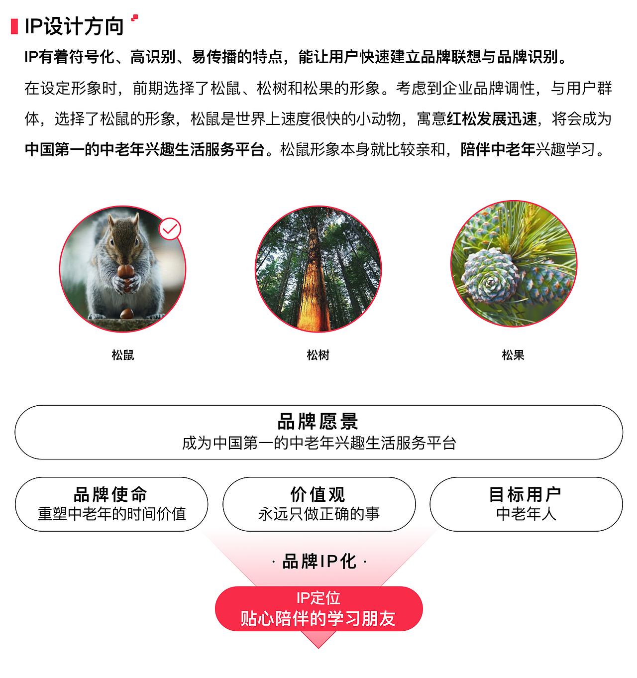 松小果 | 红松 IP 形象设计（图ZMzU0NDE2OTcy） - IP形象 - 站酷设计师大毛Q_C原创素材 - 站酷ZCOOL