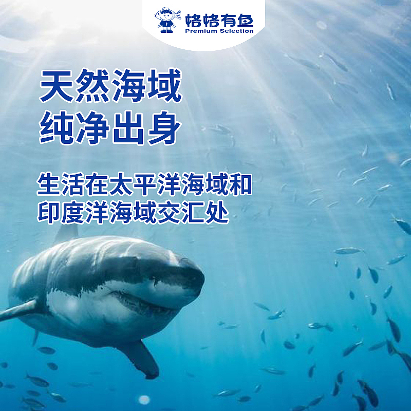 格格有鱼-品牌商城详情页头图（图ZMzQzNTYwODM2） - 其他平面 - 站酷设计师木木夕27原创素材 - 站酷ZCOOL