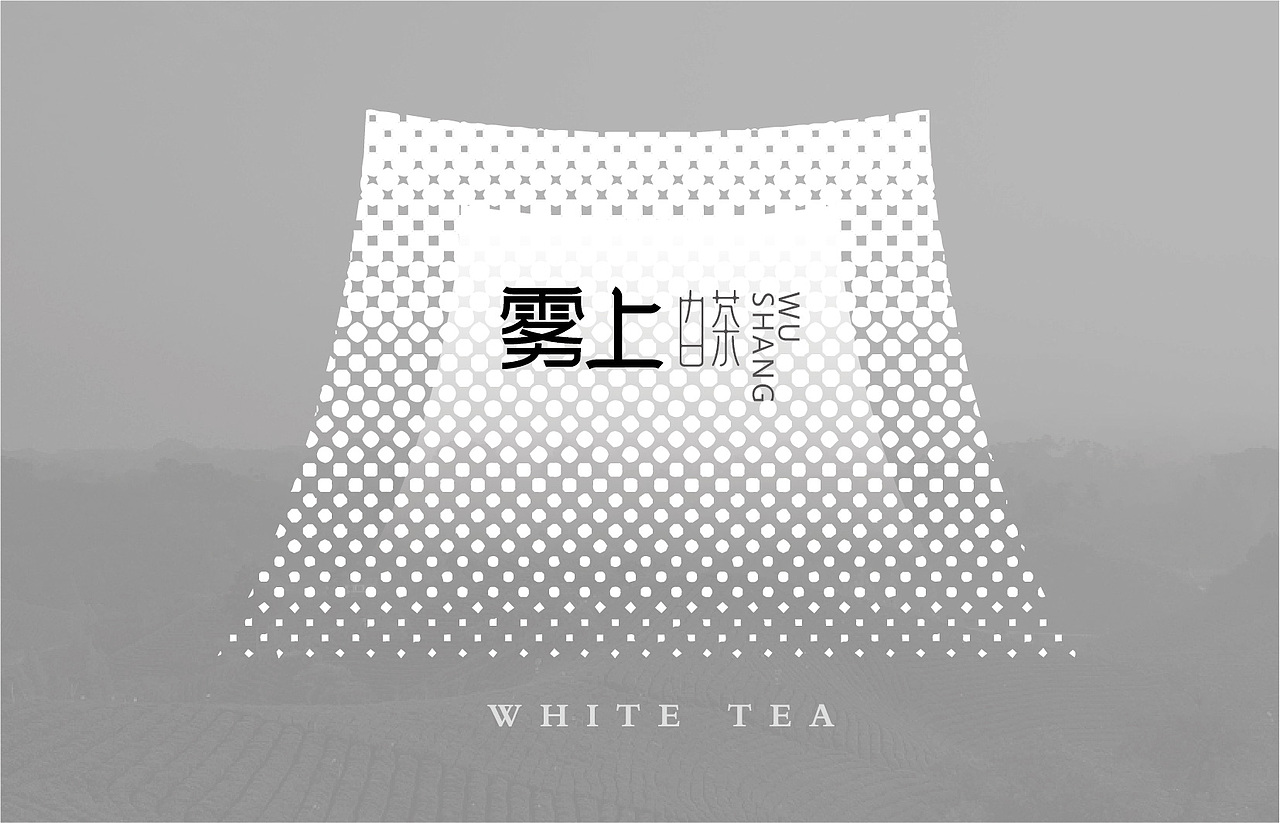 雾上白茶｜品牌包装设计