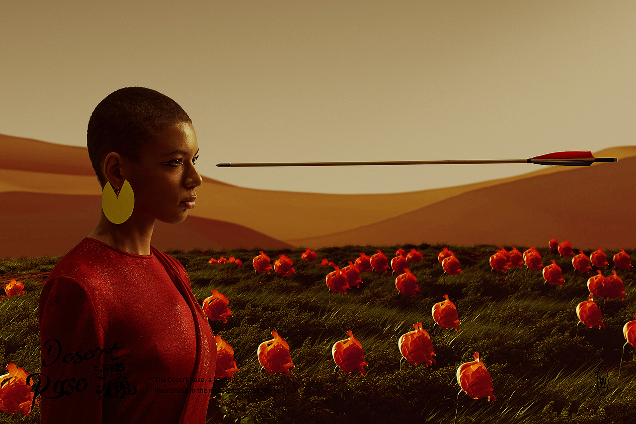 Desert Rose | 沙漠玫瑰（图ZMzY3NDc3NjI0） - 场景 - 站酷设计师这是个W原创素材 - 站酷ZCOOL