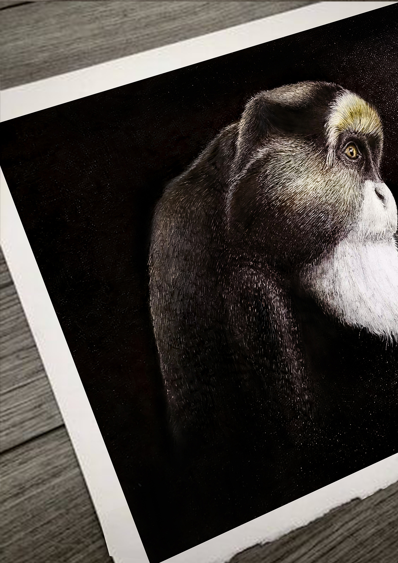 钢笔画写实——动物合集