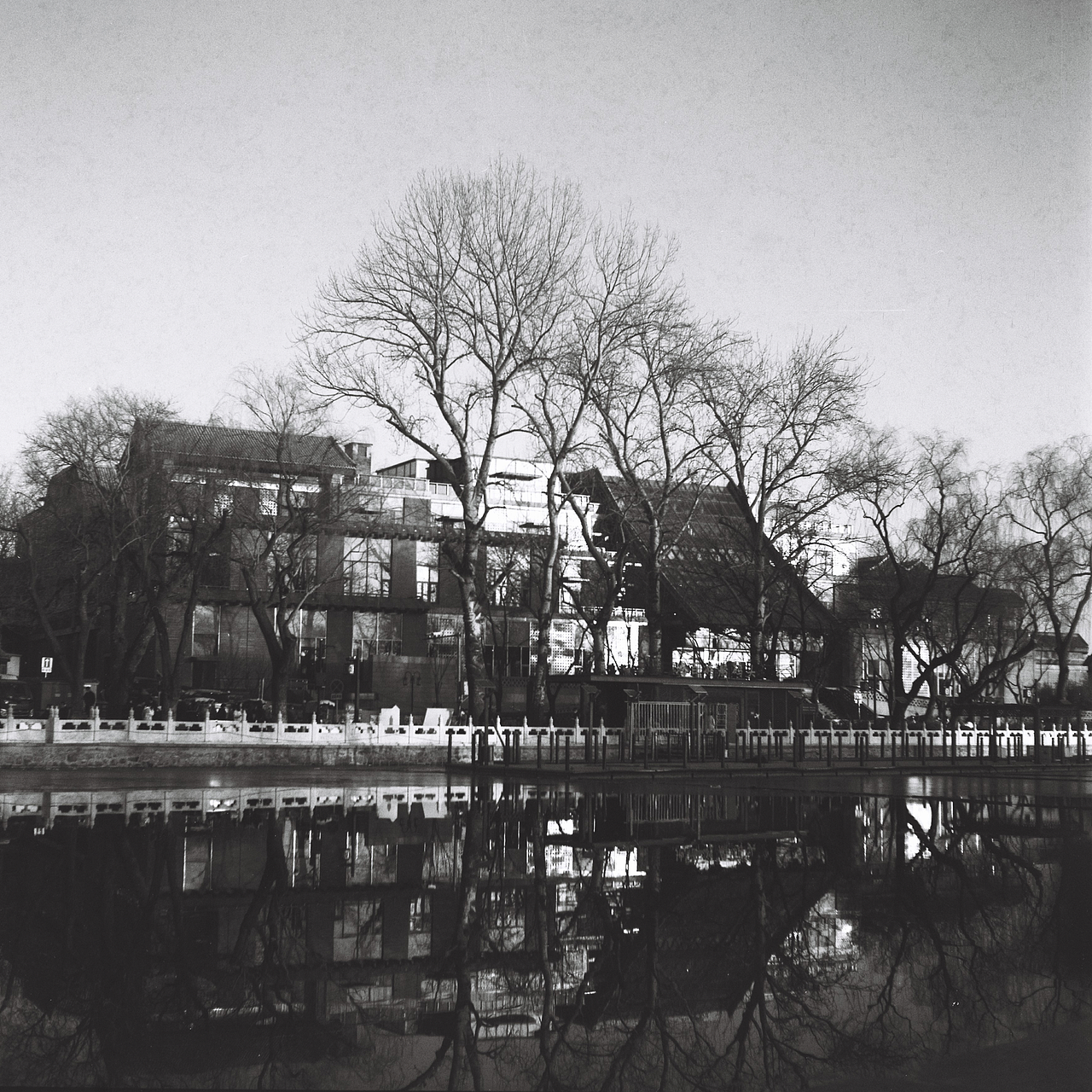 「胶片」美能达AUTO CORD