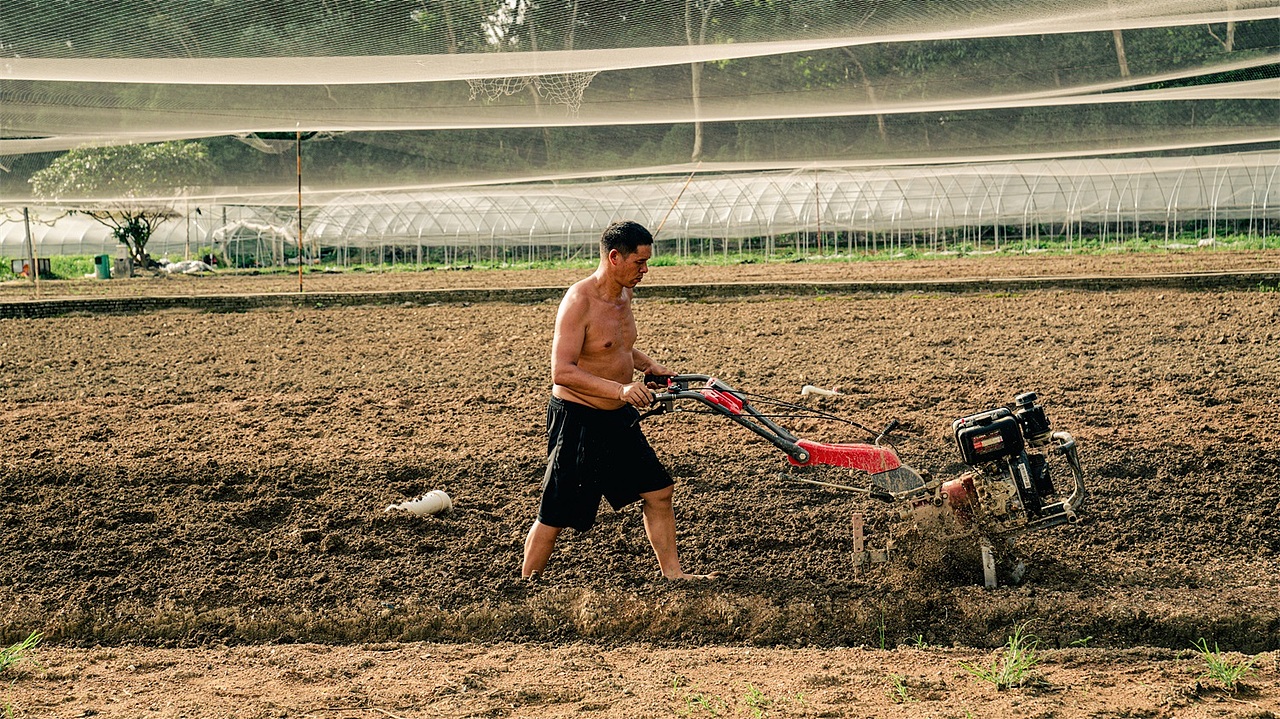 版画村（图ZMzA4NDk0NDQw） - 风光摄影 - 站酷设计师tiandizhaoxi原创素材 - 站酷ZCOOL