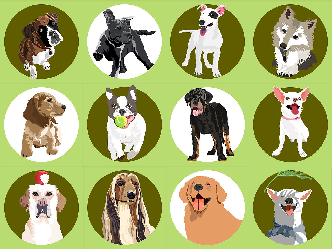 狗狗们的插画（图ZMzAxNTkwMzU2） - 艺术插画 - 站酷设计师北海道的风原创素材 - 站酷ZCOOL