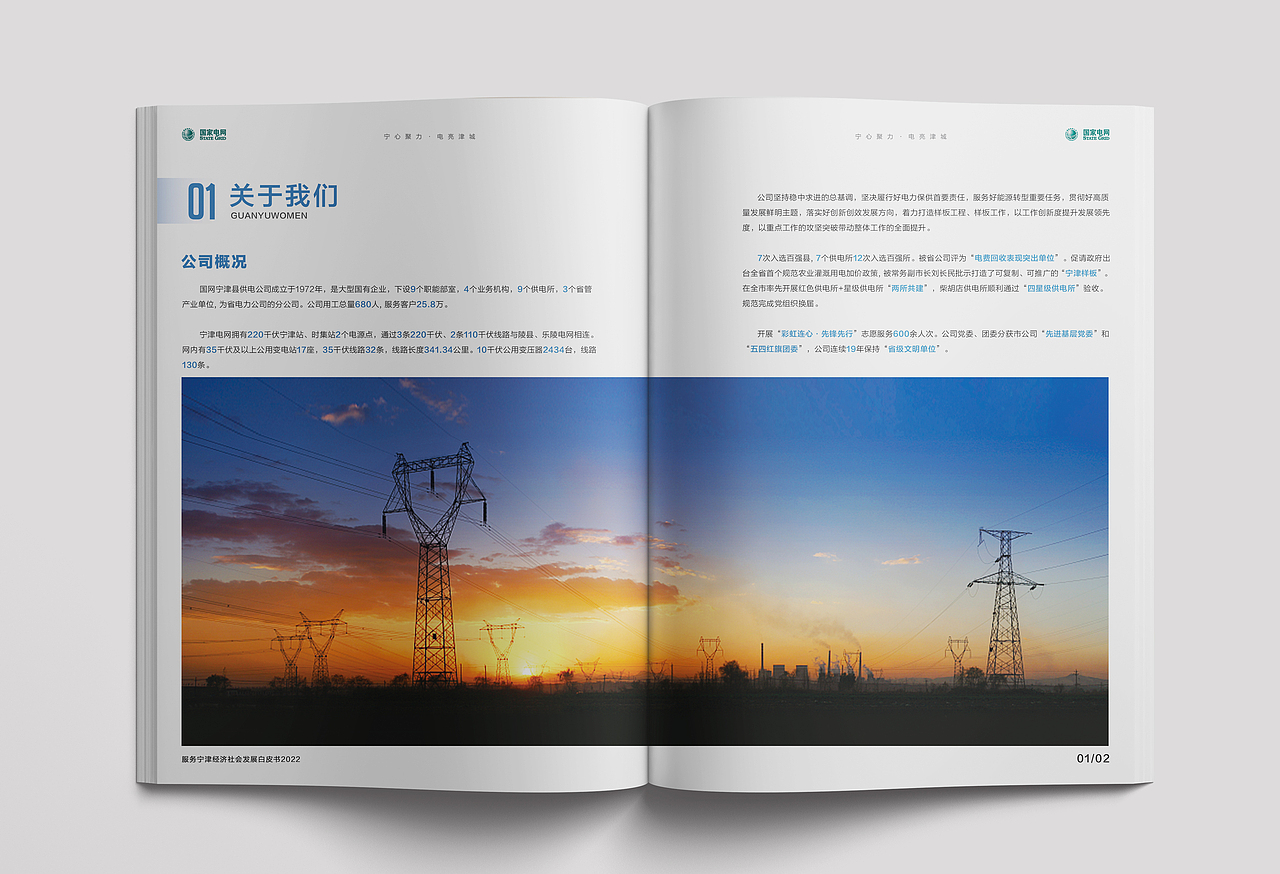 2022年宁津社会责任报告白皮书画册