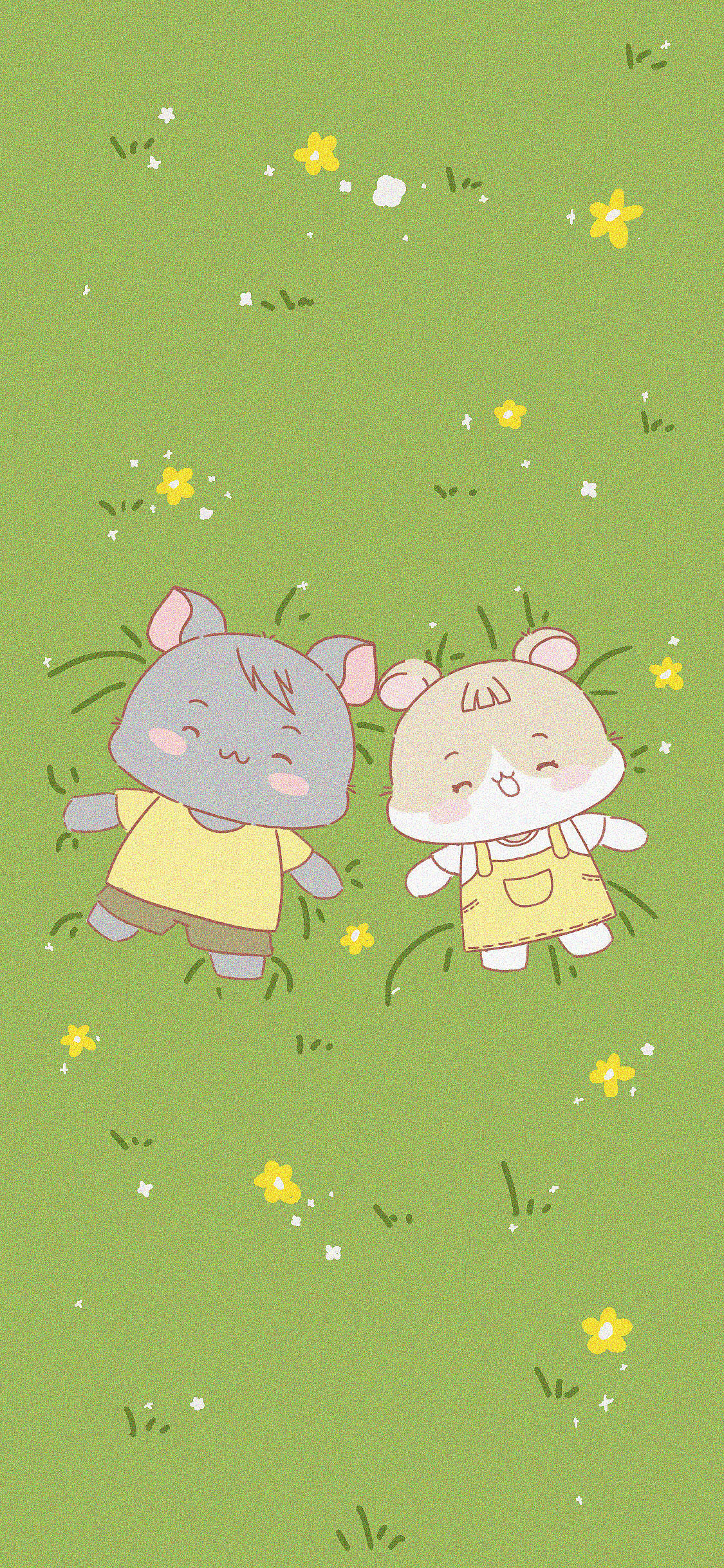 最新IP久久和灰灰来啦!