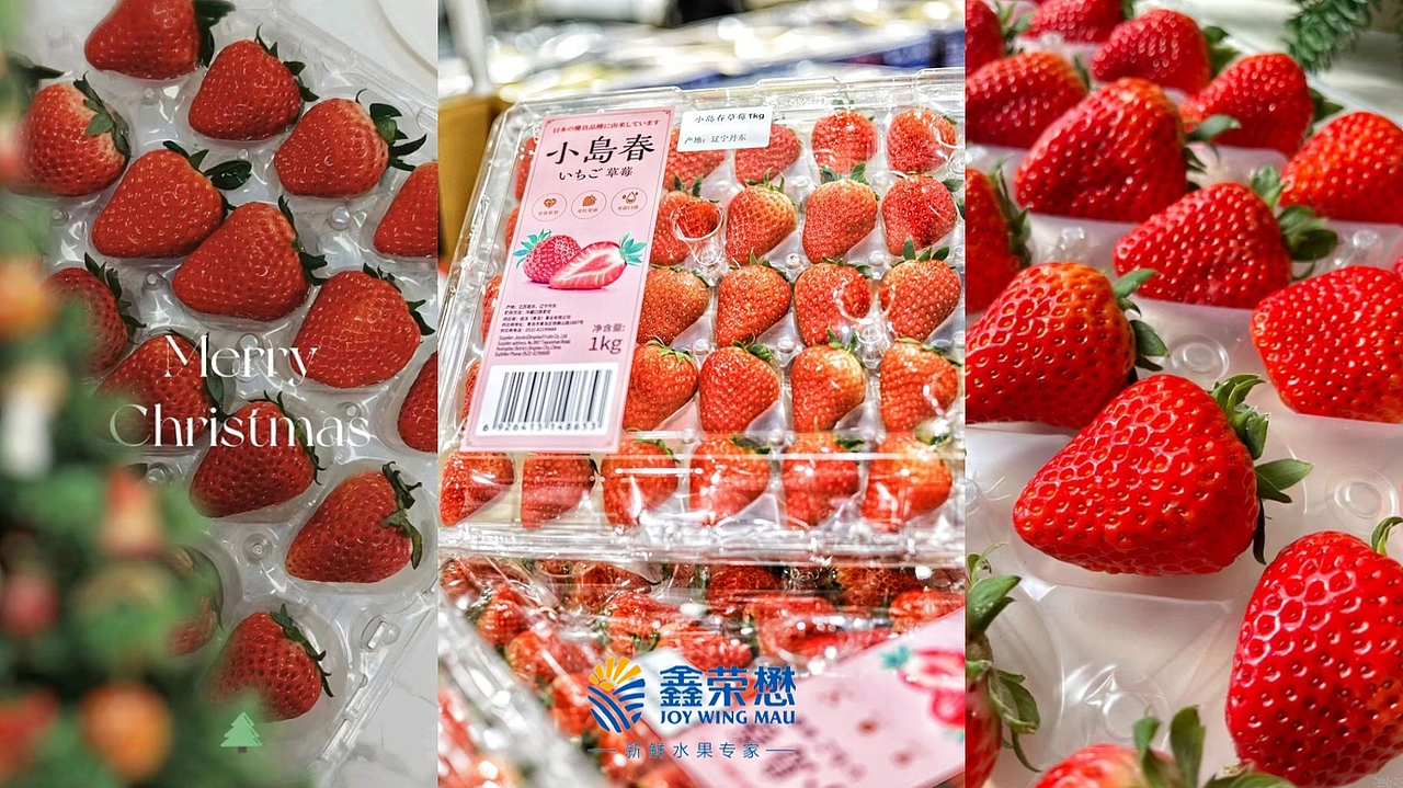 鑫荣懋 x Sam's Club 周转一体化包装