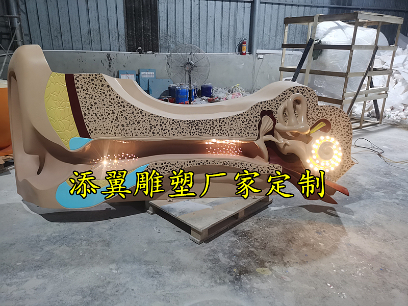 大型仿真玻璃钢耳朵模型雕塑是为了听不同的甜言蜜语