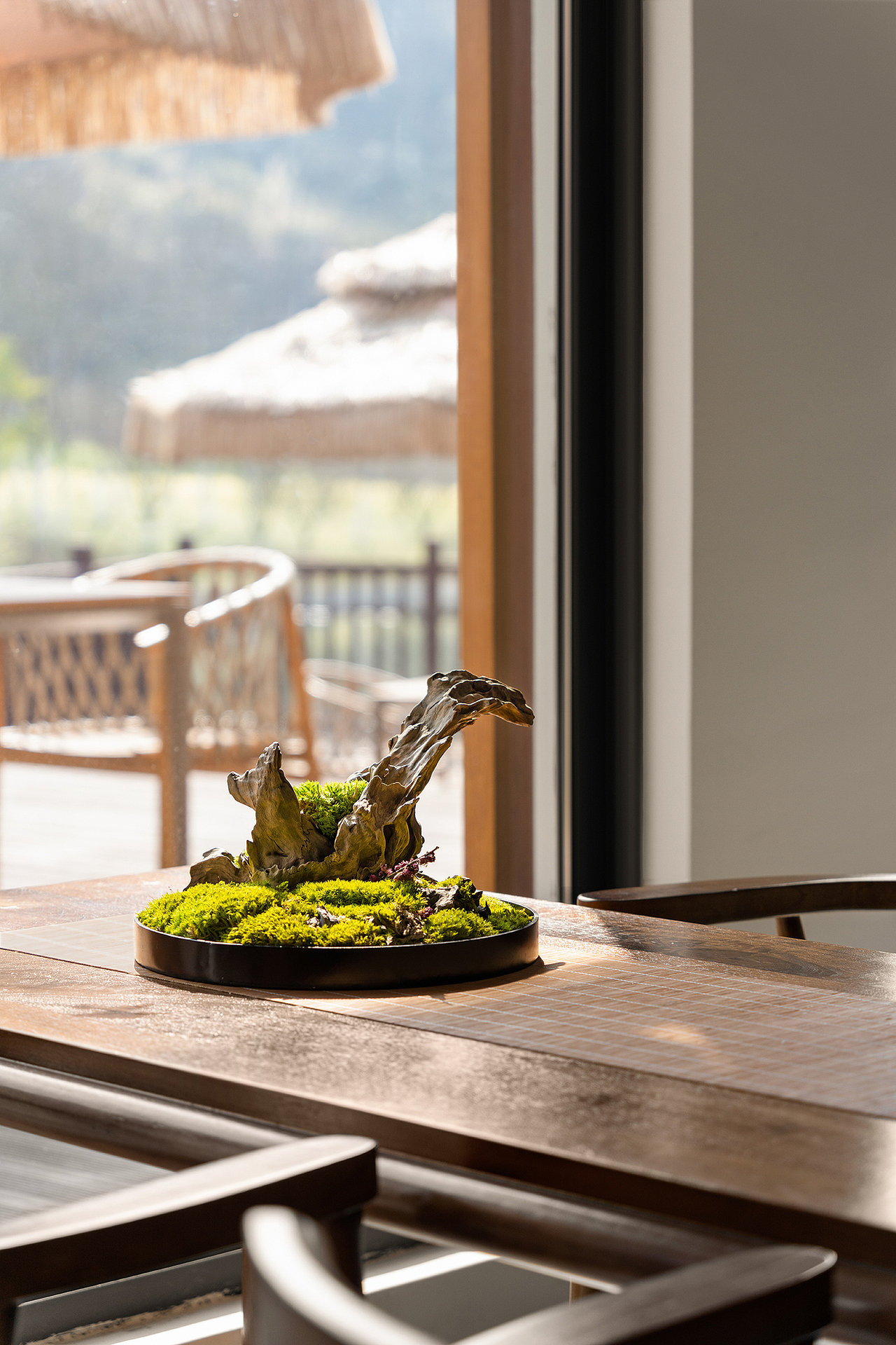 丽水华东药用植物园