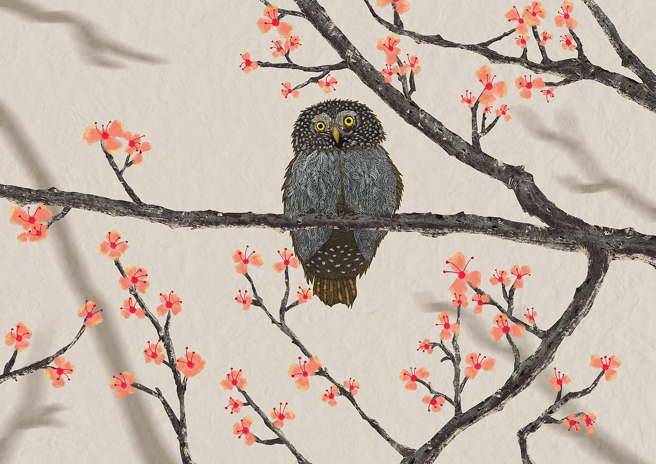 請(qǐng)關(guān)懷大自然生態(tài)（圖ZMzI2MjczNzcy） - 商業(yè)插畫 - 站酷設(shè)計(jì)師不用解釋原創(chuàng)素材 - 站酷ZCOOL