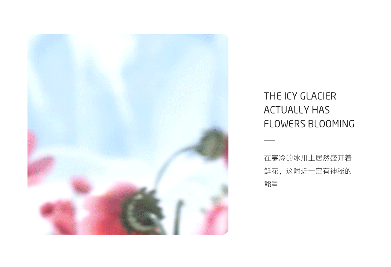 云象湿巾/棉柔巾品牌视觉方案（图ZMzA4ODUwOTI4） - 电商 - 站酷设计师有什么设计原创素材 - 站酷ZCOOL