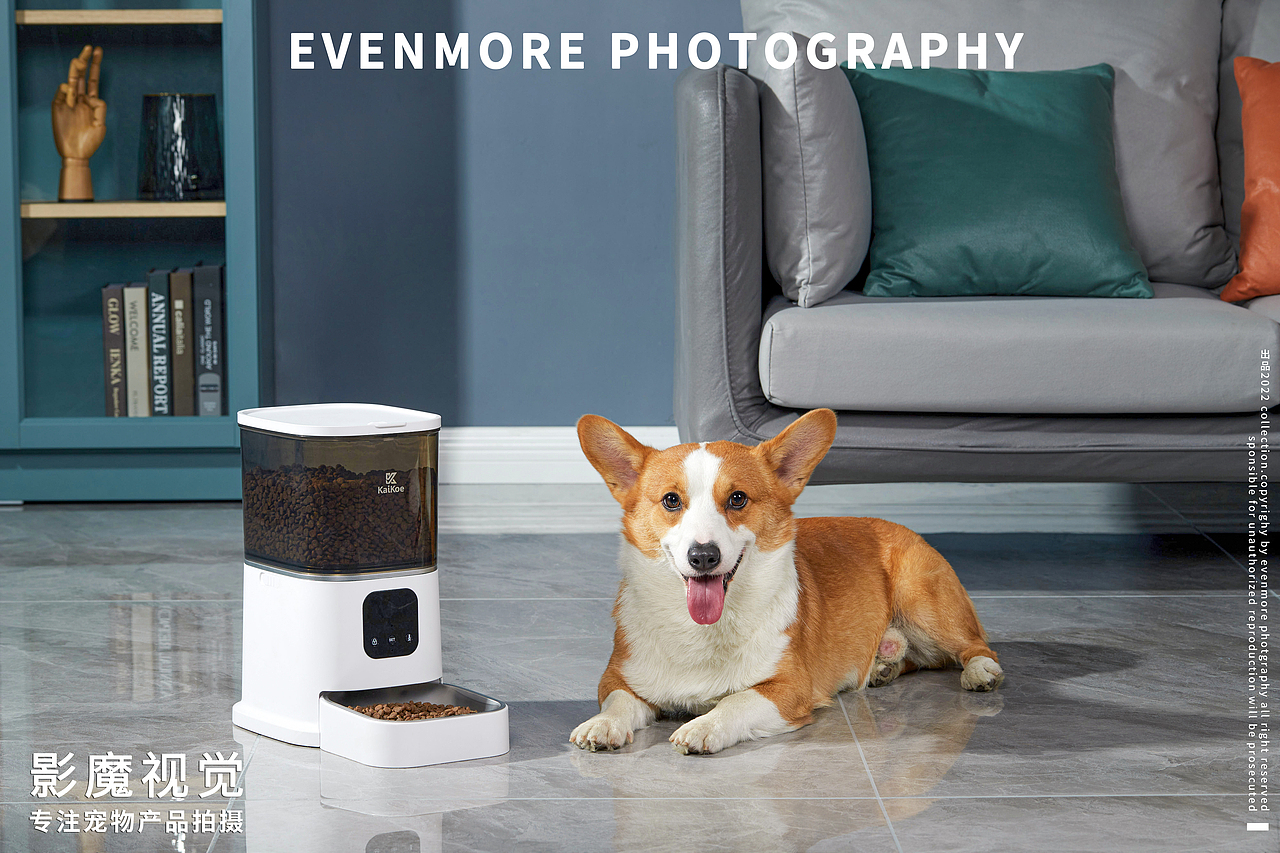 智能喂食器|宠物产品拍摄
