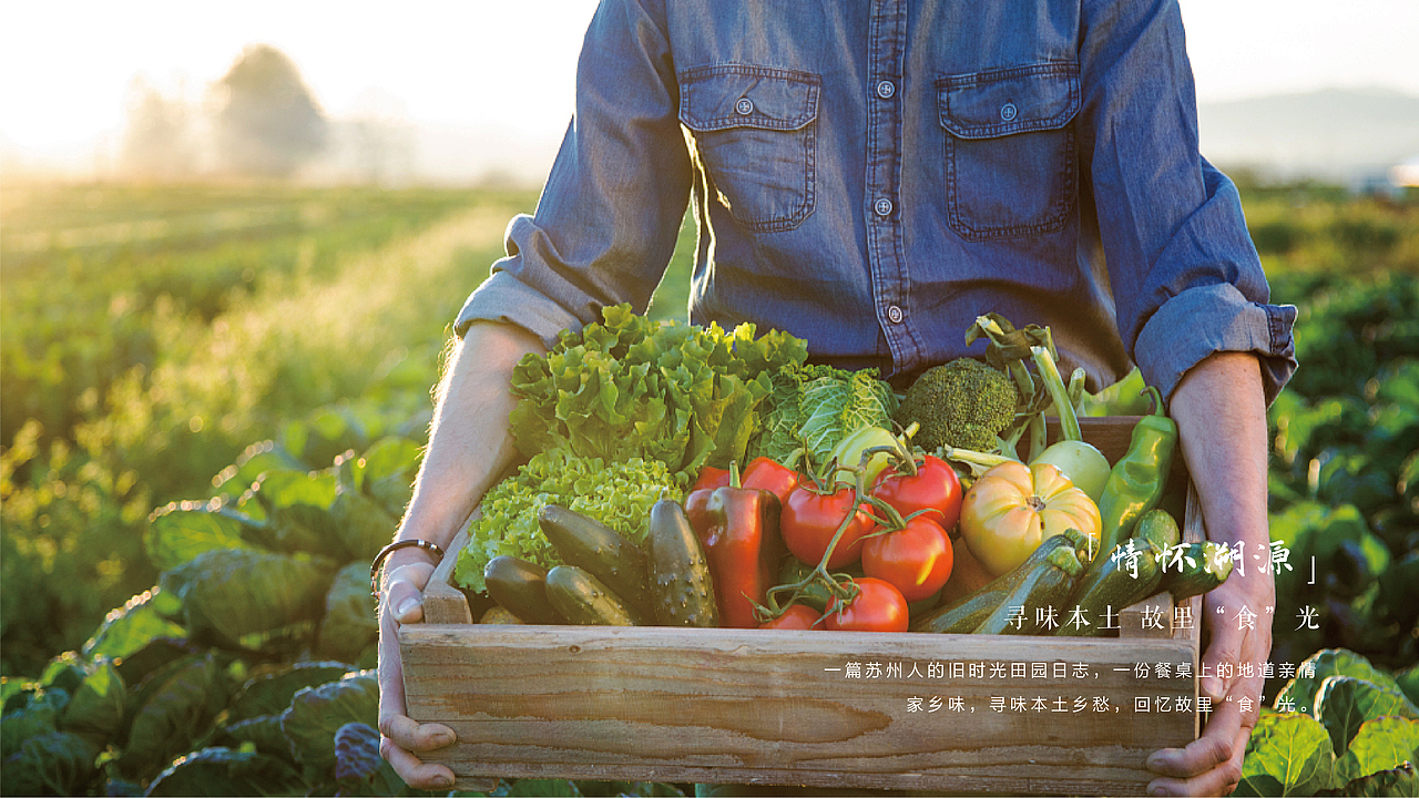 农产品品牌全案VI包装（图ZMzMwNTkxNzc2） - 品牌 - 站酷设计师YAFI扬飞原创素材 - 站酷ZCOOL