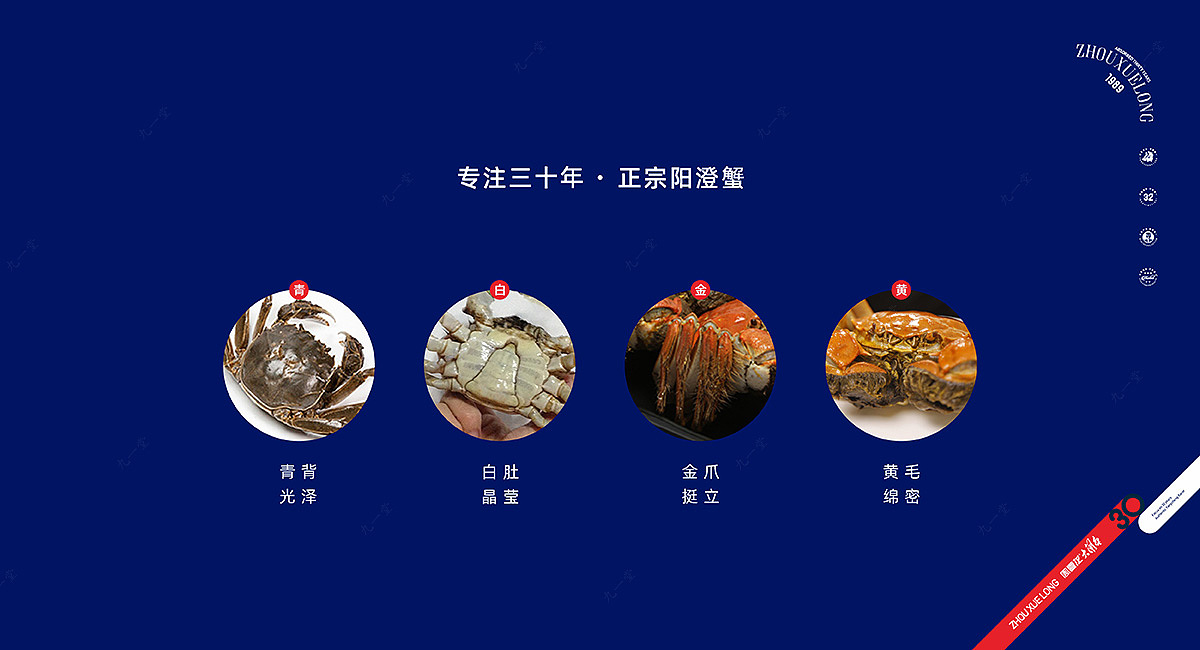 周雪龙 - 专注三十年 正宗阳澄蟹(图ZMzQzODc0NzQw) - 品牌 - 站酷设计师成都品牌策划公司原创素材 - 站酷ZCOOL