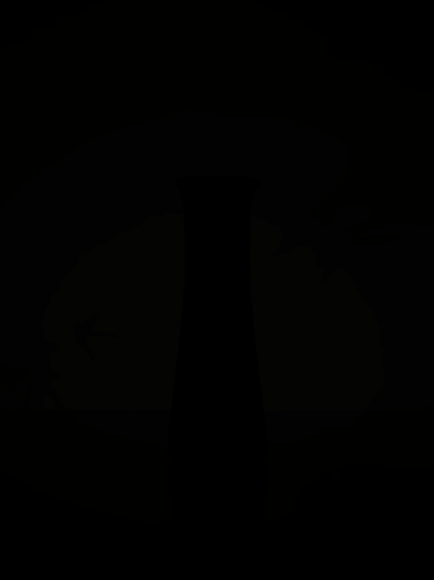 产品创意视频 l 茶小空 ✖ INLIGHT光合