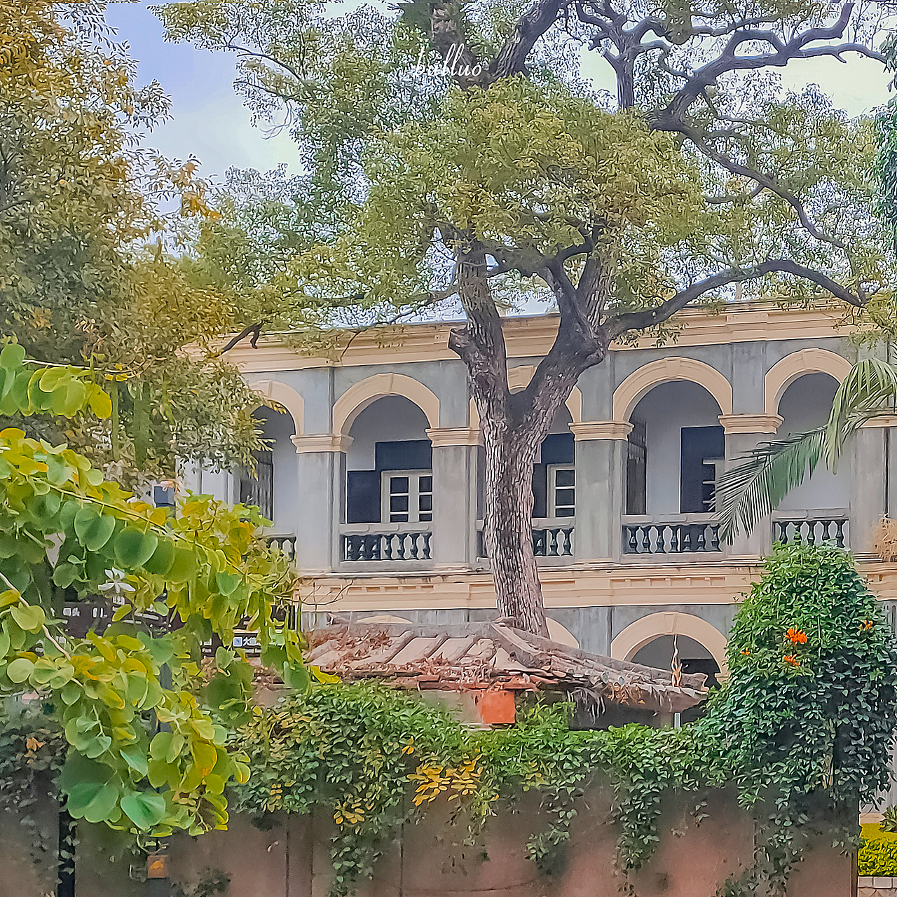 手机摄影作品7（图ZMjk5NzEwNjU2） - 风光摄影 - 站酷设计师限时救援原创素材 - 站酷ZCOOL