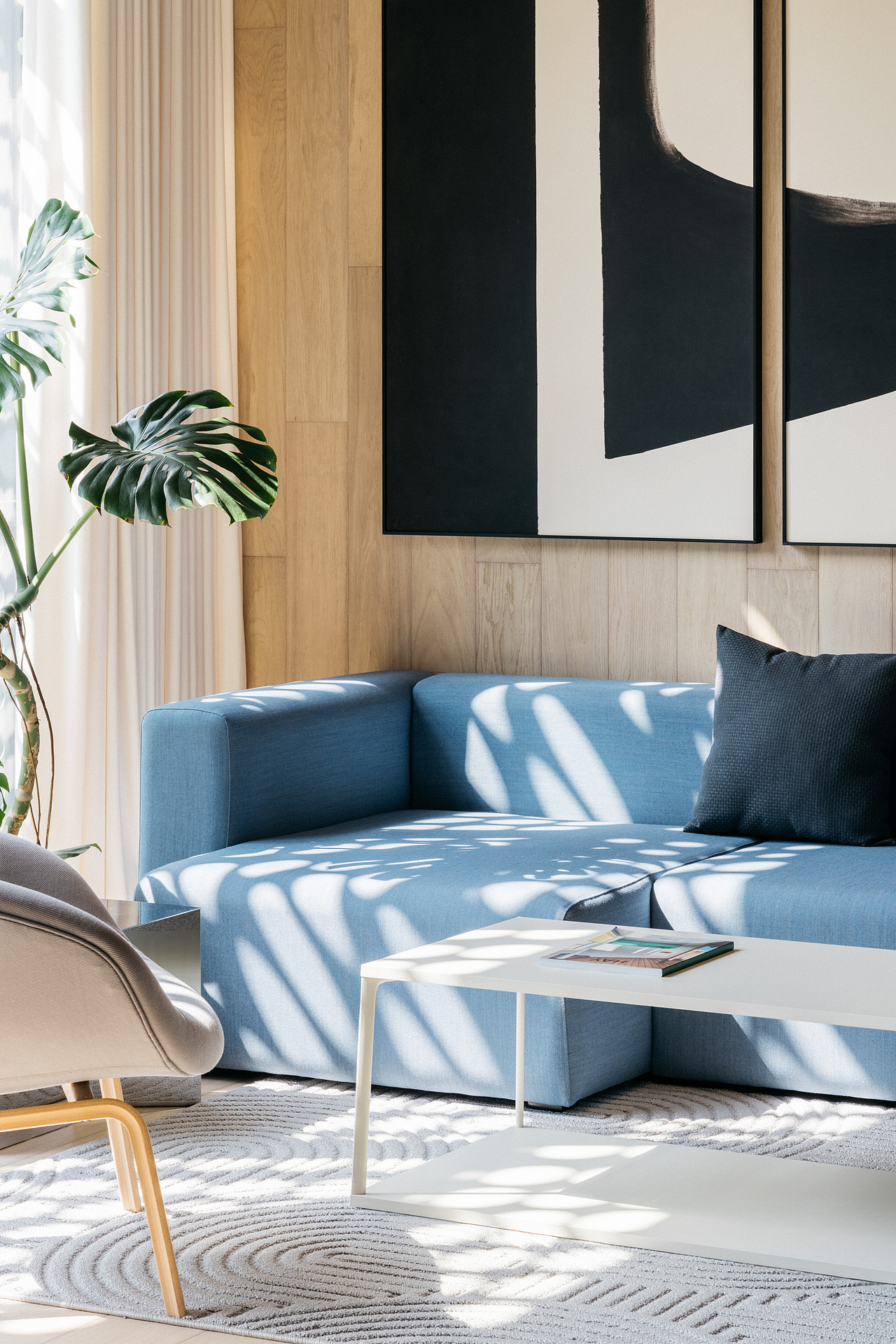 阳光洒进室内,Sunlight Poured into Room