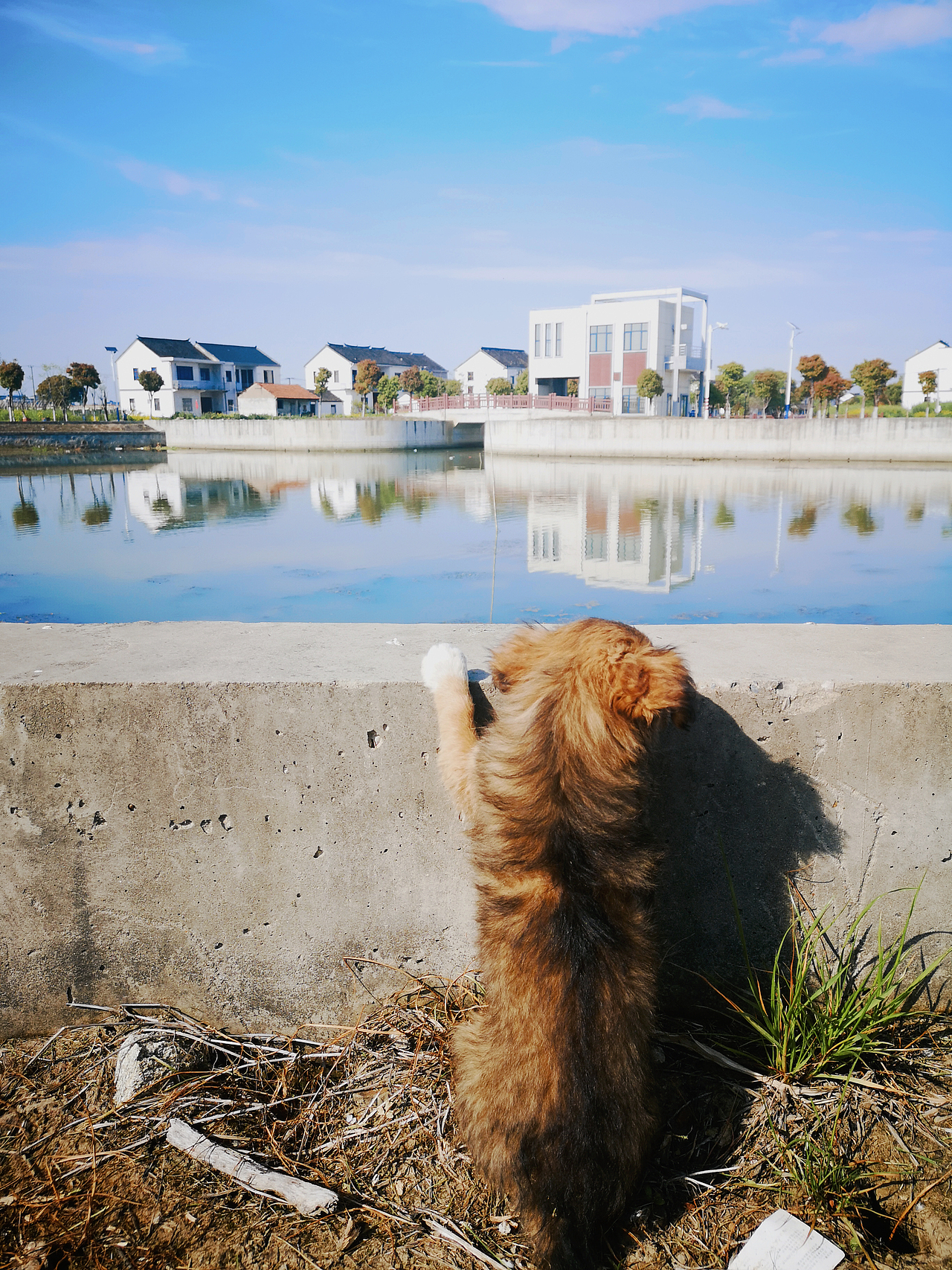 手机摄影 一片静心之地~（图ZMzM3NTk0Mzg0） - 风光摄影 - 站酷设计师小小鸟不想飞原创素材 - 站酷ZCOOL
