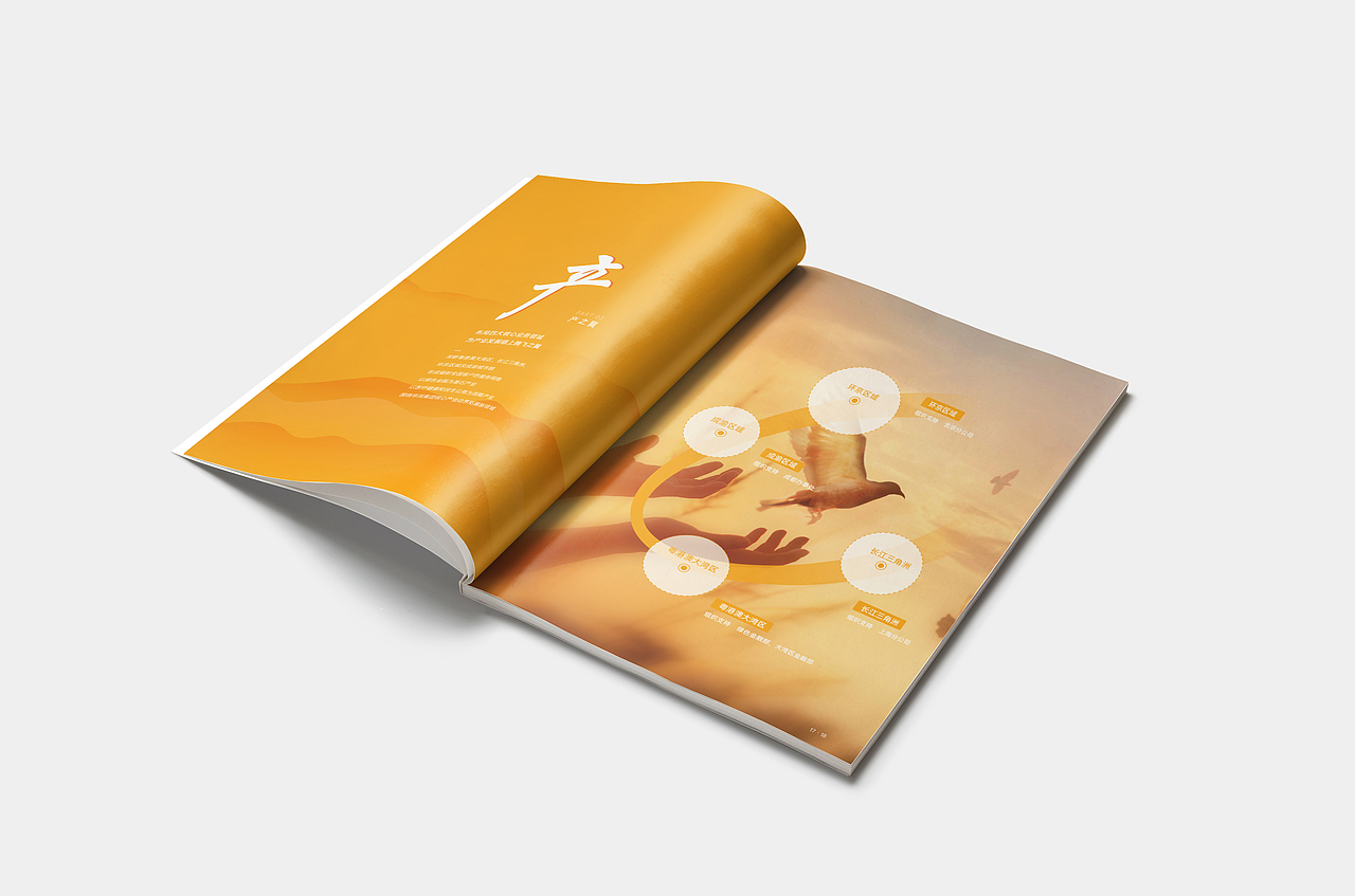 物业画册I招商画册I艺之光原创设计I华润租凭