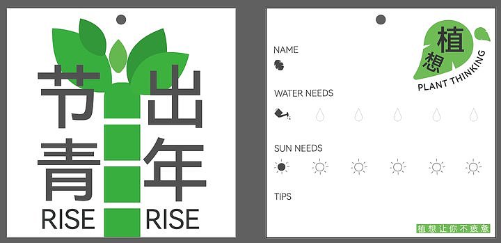 鲜花连锁品牌旗下盆栽绿植产品线设计