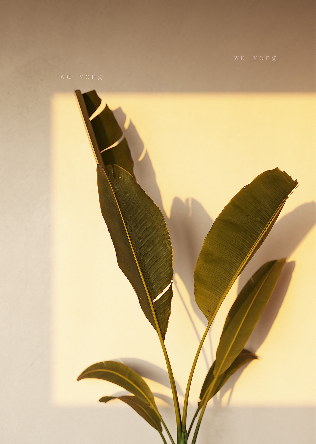 课程练习 客厅 停车场