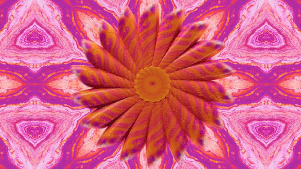 2023年度产品动画部分总结