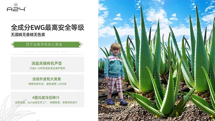 芦荟详情页ppt设计