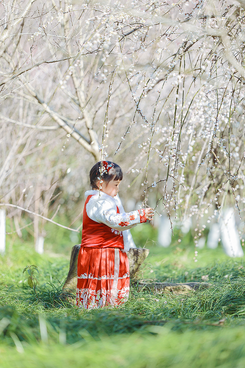 小小少女轻舞鱼灯