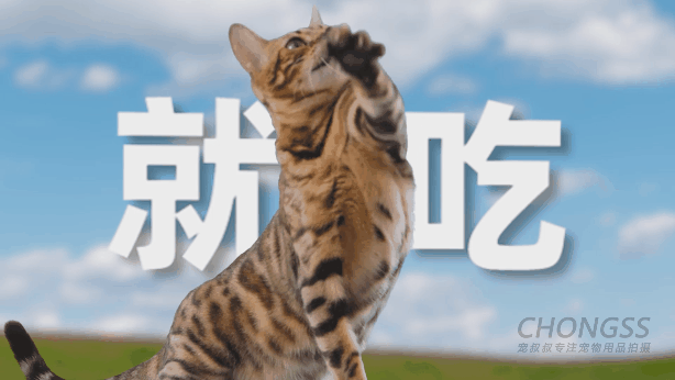 宠物食品 | 两只老虎 | 电商视频 | 宠叔叔传媒（图ZMzUwMDYyMDUy） - 产品摄影 - 站酷设计师宠叔叔传媒原创素材 - 站酷ZCOOL