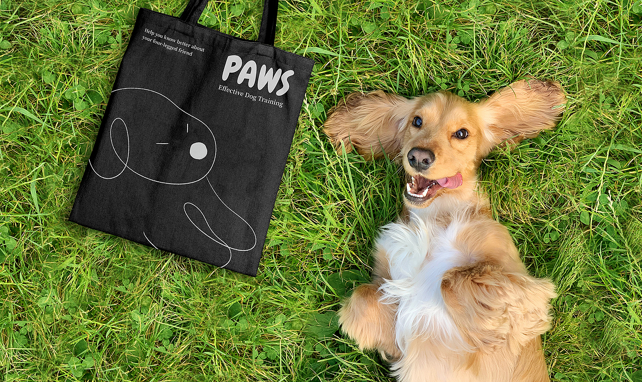 PAWS-柏林的狗狗训练工作室（图ZMzE3ODE2MjQ0） - 品牌 - 站酷设计师TATsong原创素材 - 站酷ZCOOL