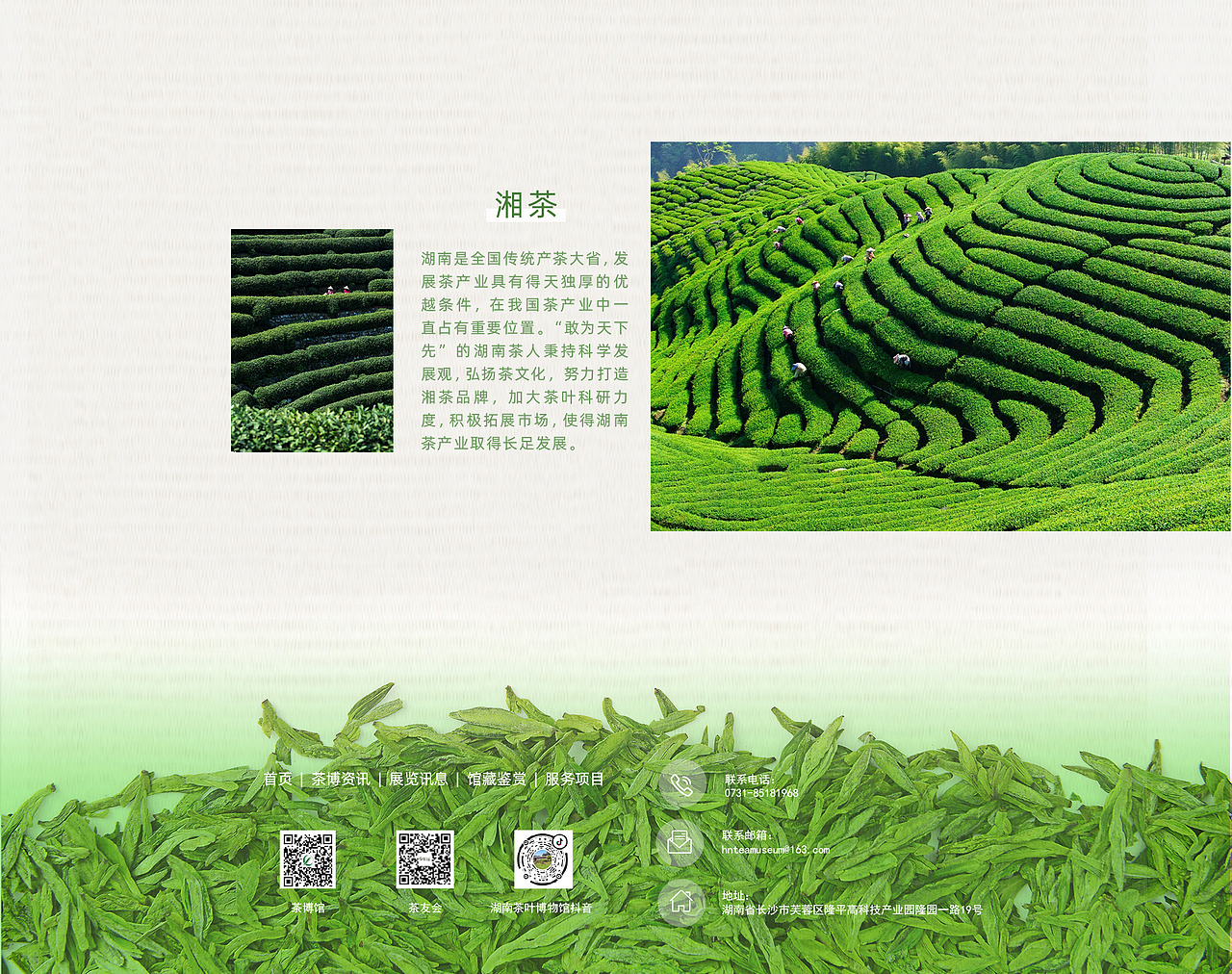 「湖南茶叶博物馆」网页视觉设计