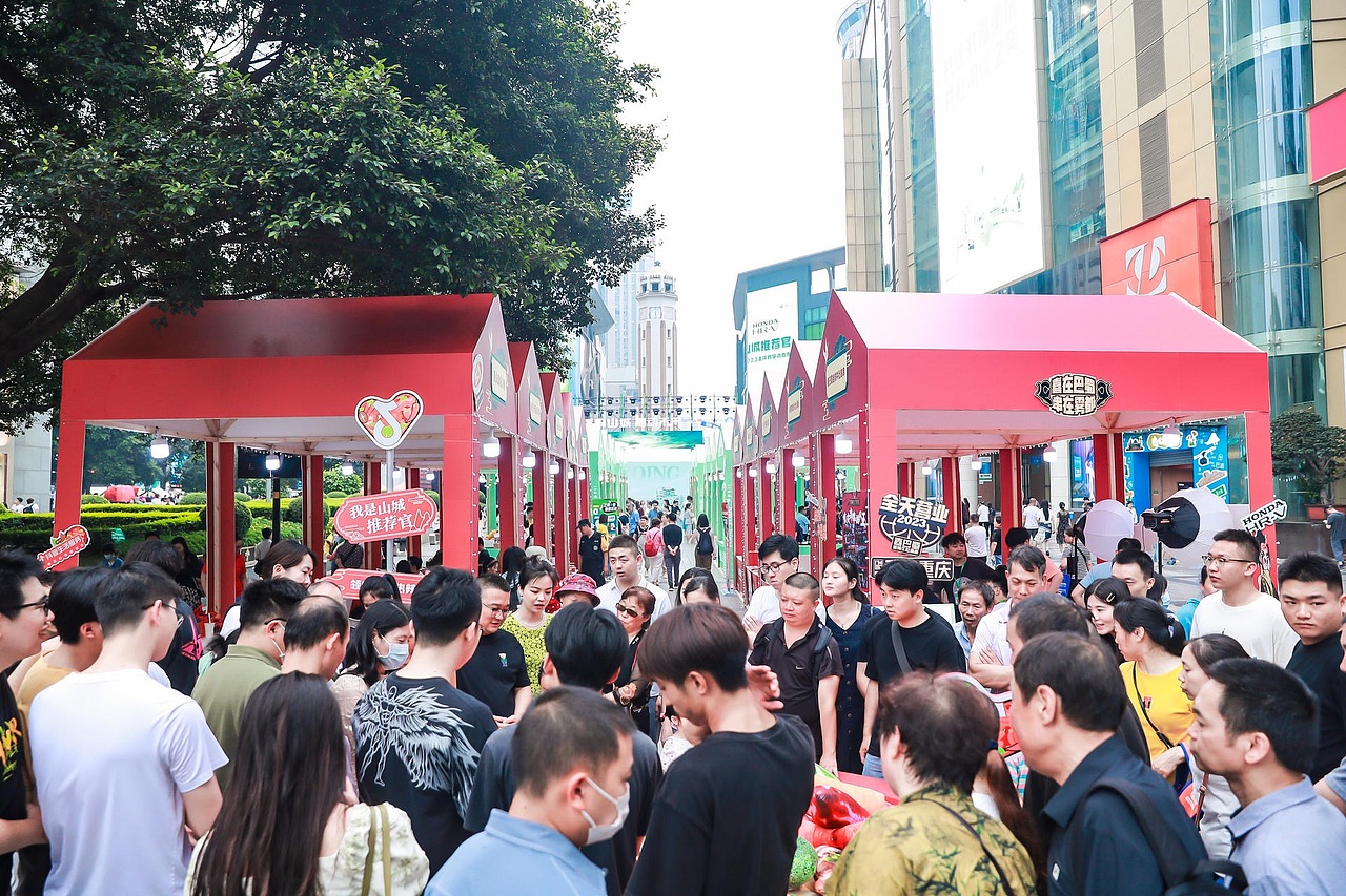 618渝中-巫溪电商节