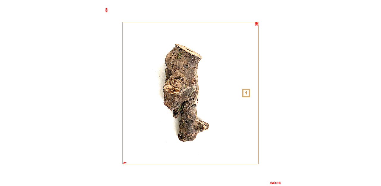 数字的乾坤都藏在顺序组合里