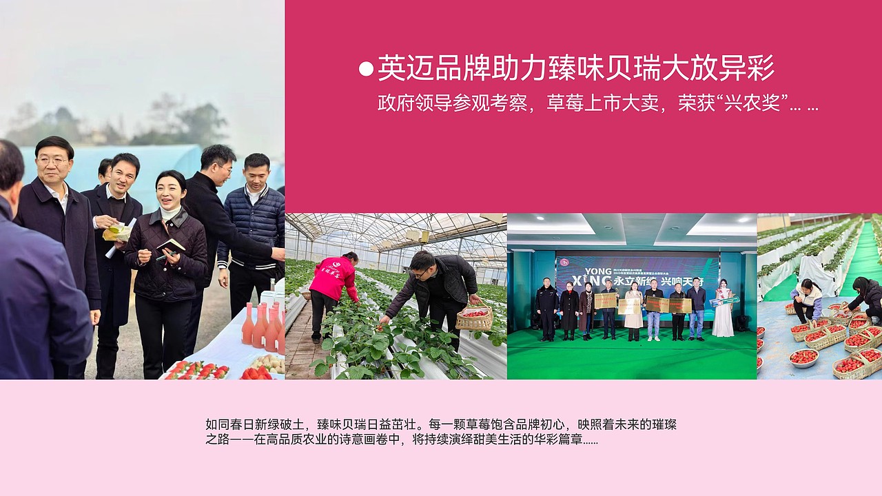 英迈品牌设计2023@案例合集（下）  策略/视觉/运营  